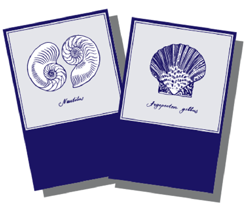 Le restaurant - O' coquillages Chez Benoit - Saint-Cyr-sur-Mer - les meilleurs restaurant de SAINT-CYR-SUR-MER